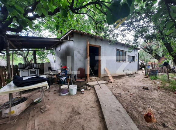 Casa de vânzare 3 camere Ciurea - 91718CV | BLITZ Iași | Poza5