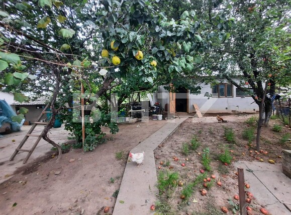 Casa de vânzare 3 camere Ciurea - 91718CV | BLITZ Iași | Poza10