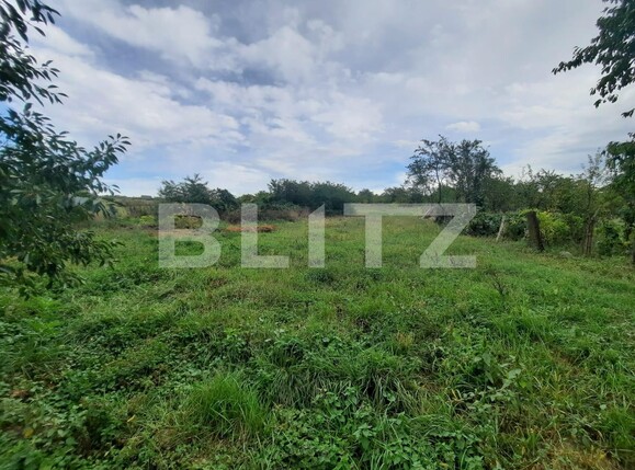 Casa de vânzare 3 camere Ciurea - 91718CV | BLITZ Iași | Poza9