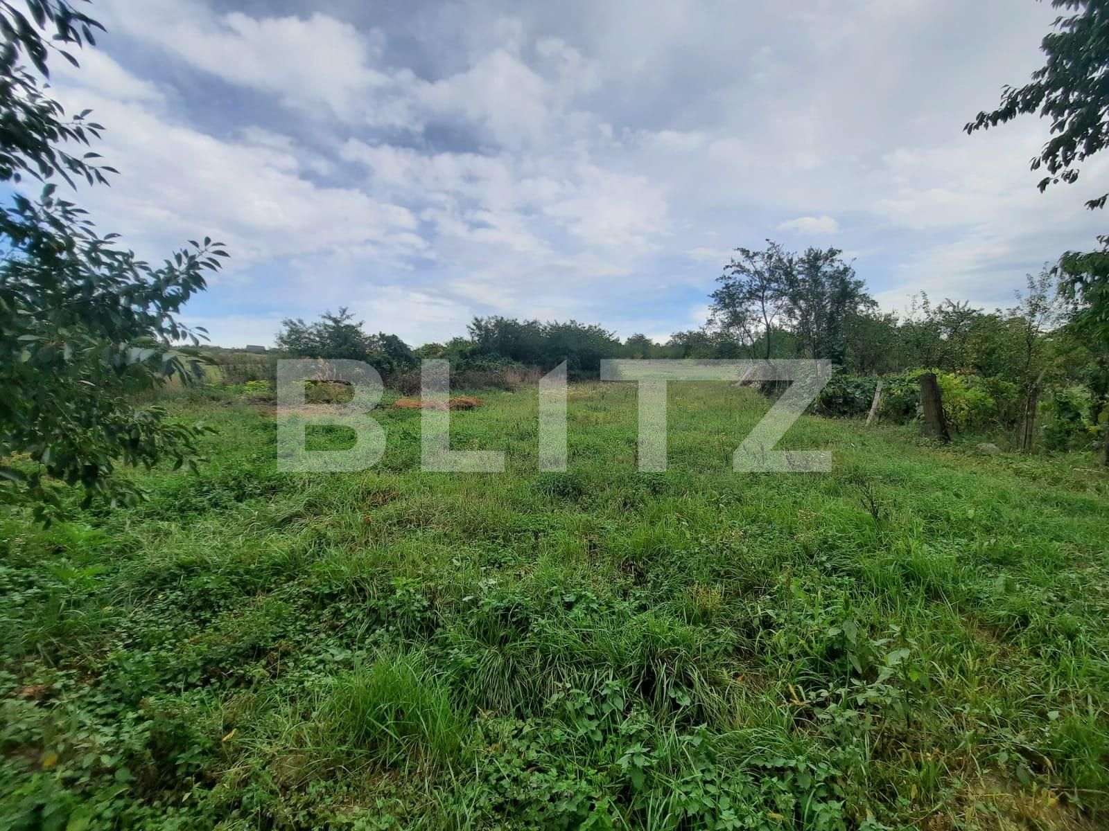 Casa de vânzare 3 camere Ciurea - 91718CV | BLITZ Iași | Poza9