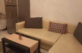 Apartament 2 camere, 35 mp, mobilat/utilat, zona Pacurari