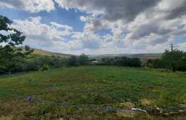 Casa cu front de 131 metri, 7400 mp de teren, Rediu-Scanteia