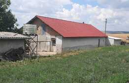 Casa cu front de 131 metri, 7400 mp de teren, Rediu-Scanteia