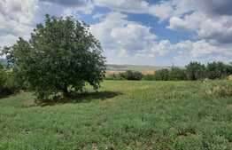 Casa cu front de 131 metri, 7400 mp de teren, Rediu-Scanteia