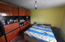 Casa cu front de 131 metri, 7400 mp de teren, Rediu-Scanteia