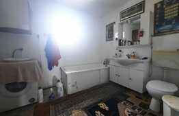 Casa cu front de 131 metri, 7400 mp de teren, Rediu-Scanteia