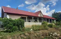 Casa cu front de 131 metri, 7400 mp de teren, Rediu-Scanteia