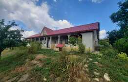 Casa cu front de 131 metri, 7400 mp de teren, Rediu-Scanteia