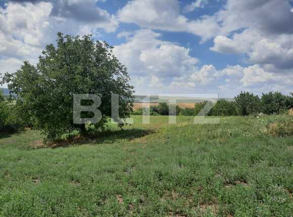 Casa de vânzare 4 camere Exterior Sud - 91727CV | BLITZ Iași | Poza6