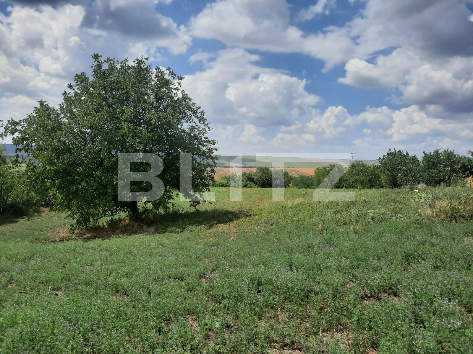 Casa de vânzare 4 camere Exterior Sud - 91727CV | BLITZ Iași | Poza6