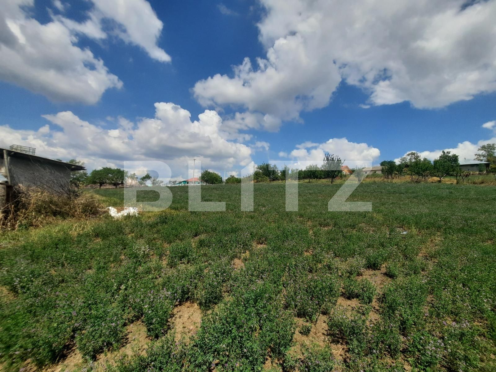 Casa de vânzare 4 camere Exterior Sud - 91727CV | BLITZ Iași | Poza7