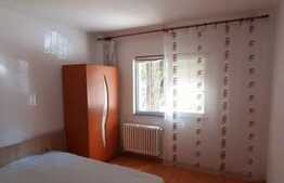 Apartament de 2 camere, 47mp, posibilitate de parcare, zona Nicolina 