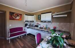 Casa langa padure de 118 mp, teren de 1740 mp, Padureni