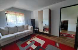 Casa langa padure de 118 mp, teren de 1740 mp, Padureni