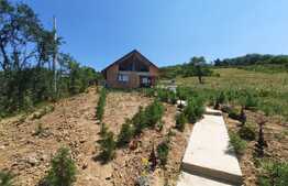 Casa langa padure de 118 mp, teren de 1740 mp, Padureni