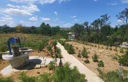 Casa de vacanta, langa padure, teren de 1740 mp, Padureni