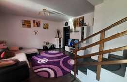 Casa de 4 camere, 100 mp, Valea Adanca