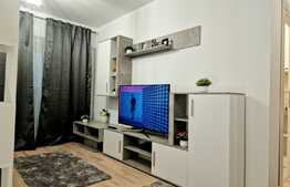 Apartament de 1 camera, balcon, 43 mp, zona Tatarasi