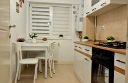 Apartament de 1 camera, balcon, 43 mp, zona Tatarasi