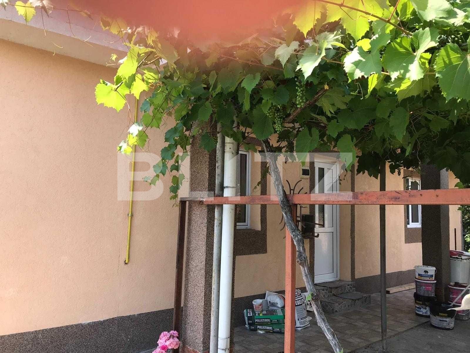 Casa de vânzare 6 camere Frumoasa - 92100CV | BLITZ Iași | Poza4