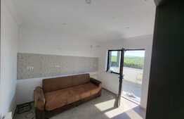 Casa cu 3 camere, 98 mp utili, 250 mp teren, Visani 