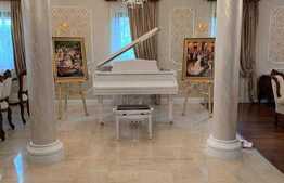 Vila cu 9 camere, 575 mp, zona Moara de Vant