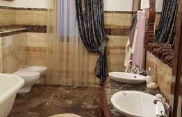 Vila cu 9 camere, 575 mp, zona Moara de Vant