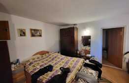 Casa individuala, 170 mp, 300 mp teren, Bucium