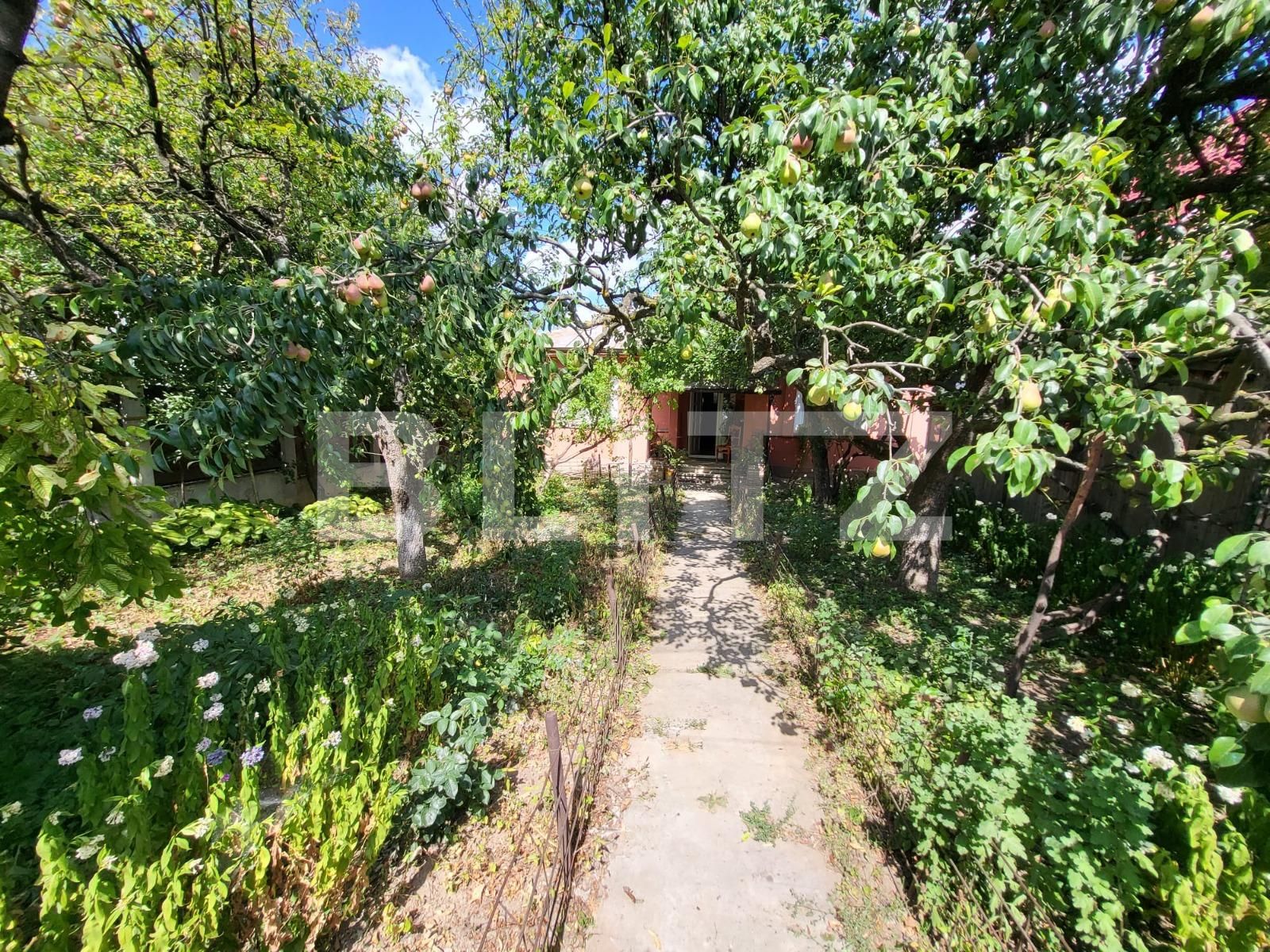 Casa de vânzare 5 camere Bucium - 92174CV | BLITZ Iași | Poza2