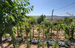 Casa individuala, 100 mp, 750 mp teren, zona Barnova Visan