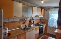 Casa individuala, 100 mp, 750 mp teren, zona Barnova Visan