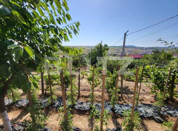 Casa de vânzare 4 camere Barnova  - 92180CV | BLITZ Iași | Poza3