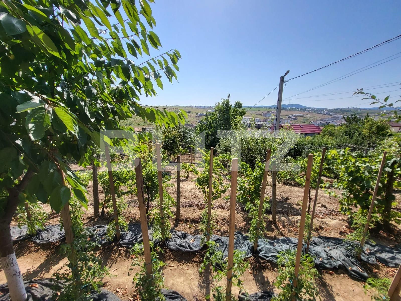 Casa de vânzare 4 camere Barnova  - 92180CV | BLITZ Iași | Poza3