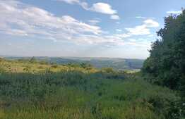 Teren extravilan 5400 mp, langa padure, Dobrovat