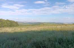 Teren extravilan 5400 mp, langa padure, Dobrovat