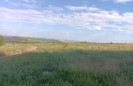 Teren extravilan 5400 mp, langa padure, Dobrovat