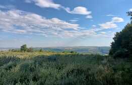 Teren extravilan 5400 mp, langa padure, Dobrovat