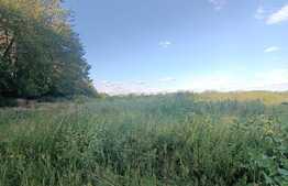 Teren extravilan 5400 mp, langa padure, Dobrovat