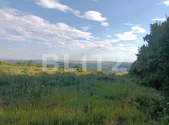 Teren extravilan 5400 mp langa padurea Dobrovat, jud. Iasi | Poza3