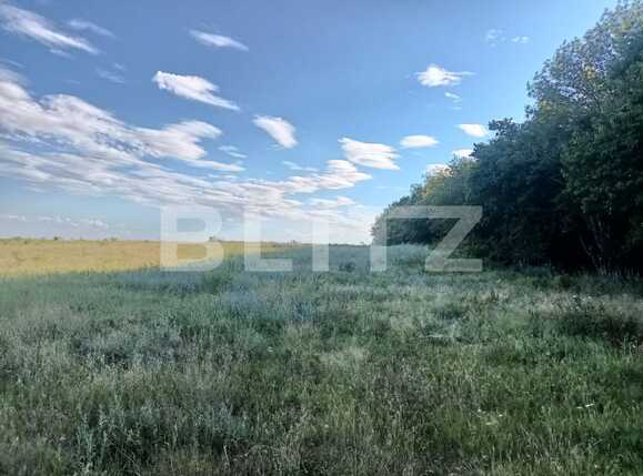 Teren extravilan 5400 mp langa padurea Dobrovat, jud. Iasi | Poza1