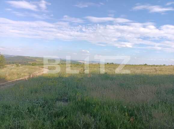 Teren extravilan 5400 mp langa padurea Dobrovat, jud. Iasi | Poza6