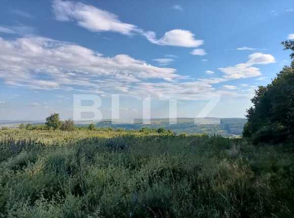 Teren extravilan 5400 mp langa padurea Dobrovat, jud. Iasi | Poza2