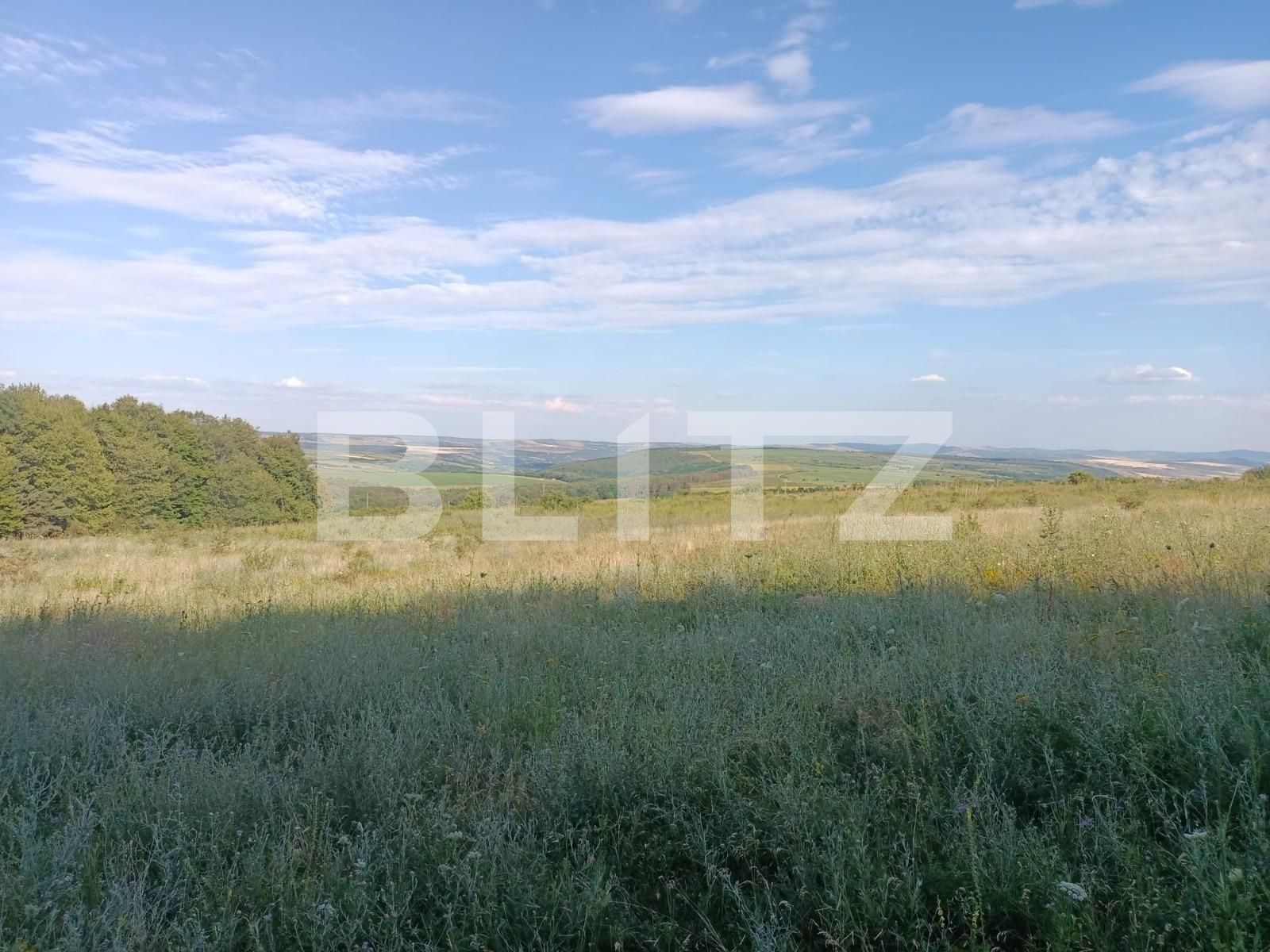 Teren extravilan 5400 mp langa padurea Dobrovat, jud. Iasi | Poza4