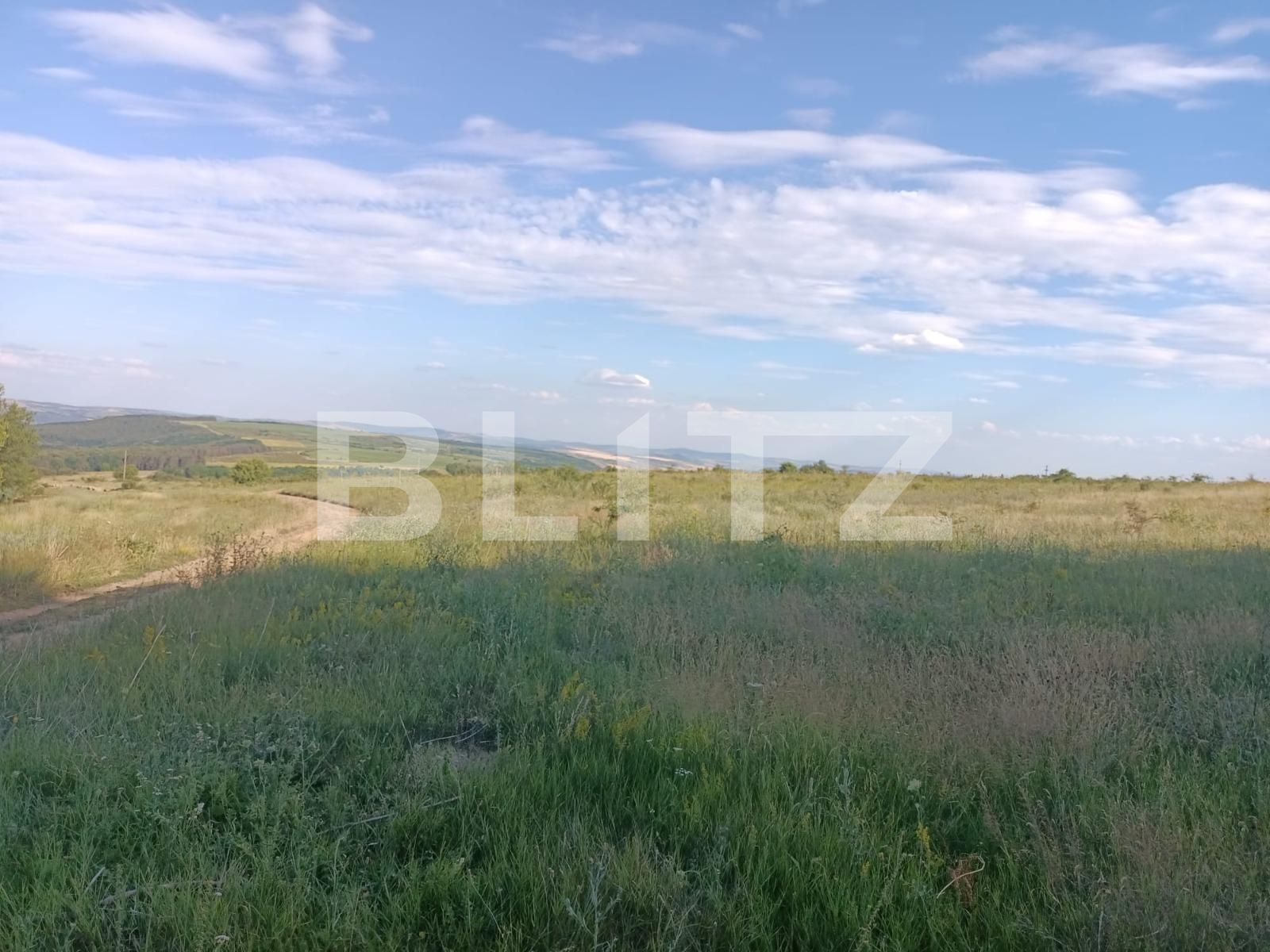 Teren extravilan 5400 mp langa padurea Dobrovat, jud. Iasi | Poza6