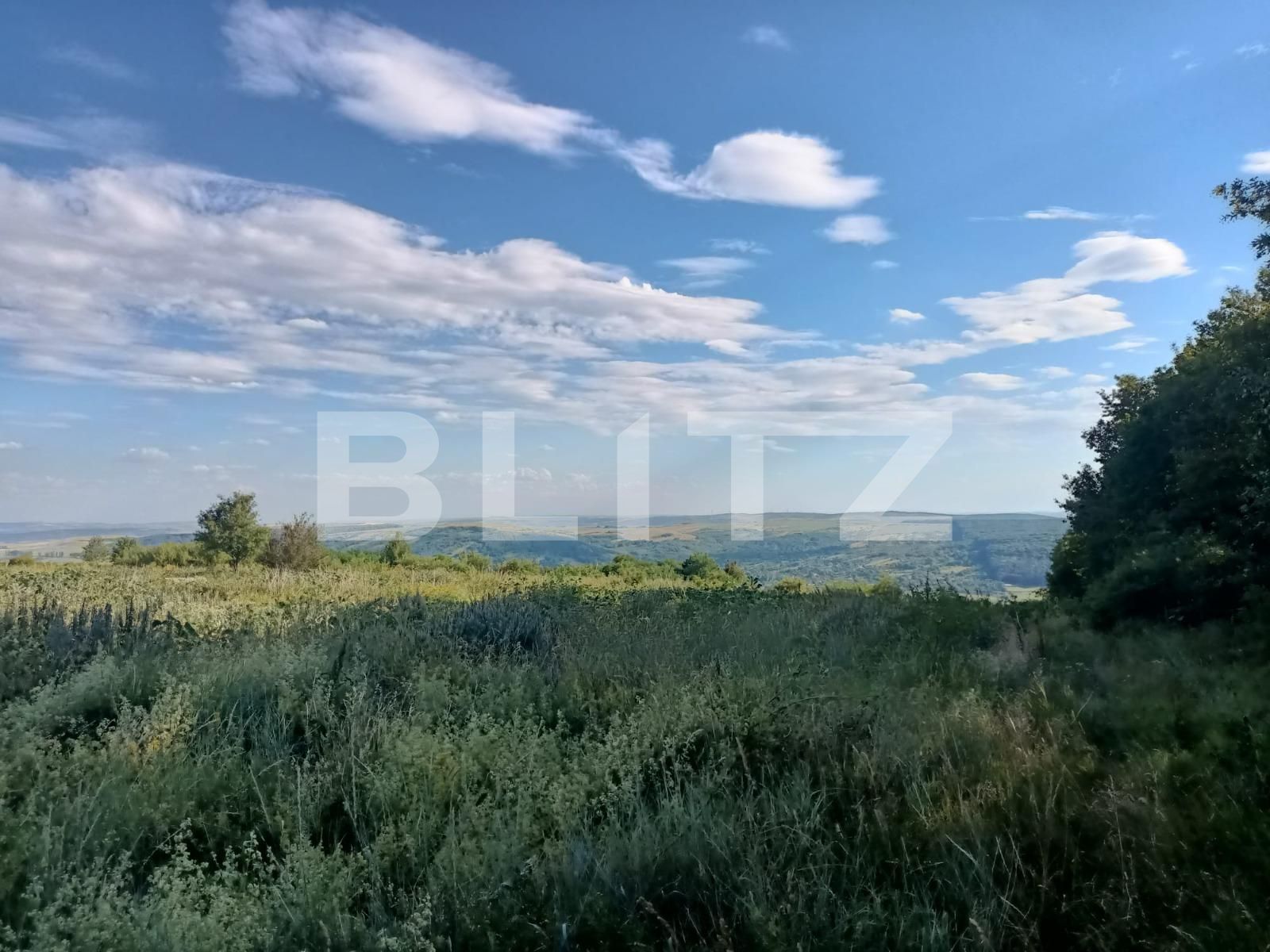 Teren extravilan 5400 mp langa padurea Dobrovat, jud. Iasi | Poza2