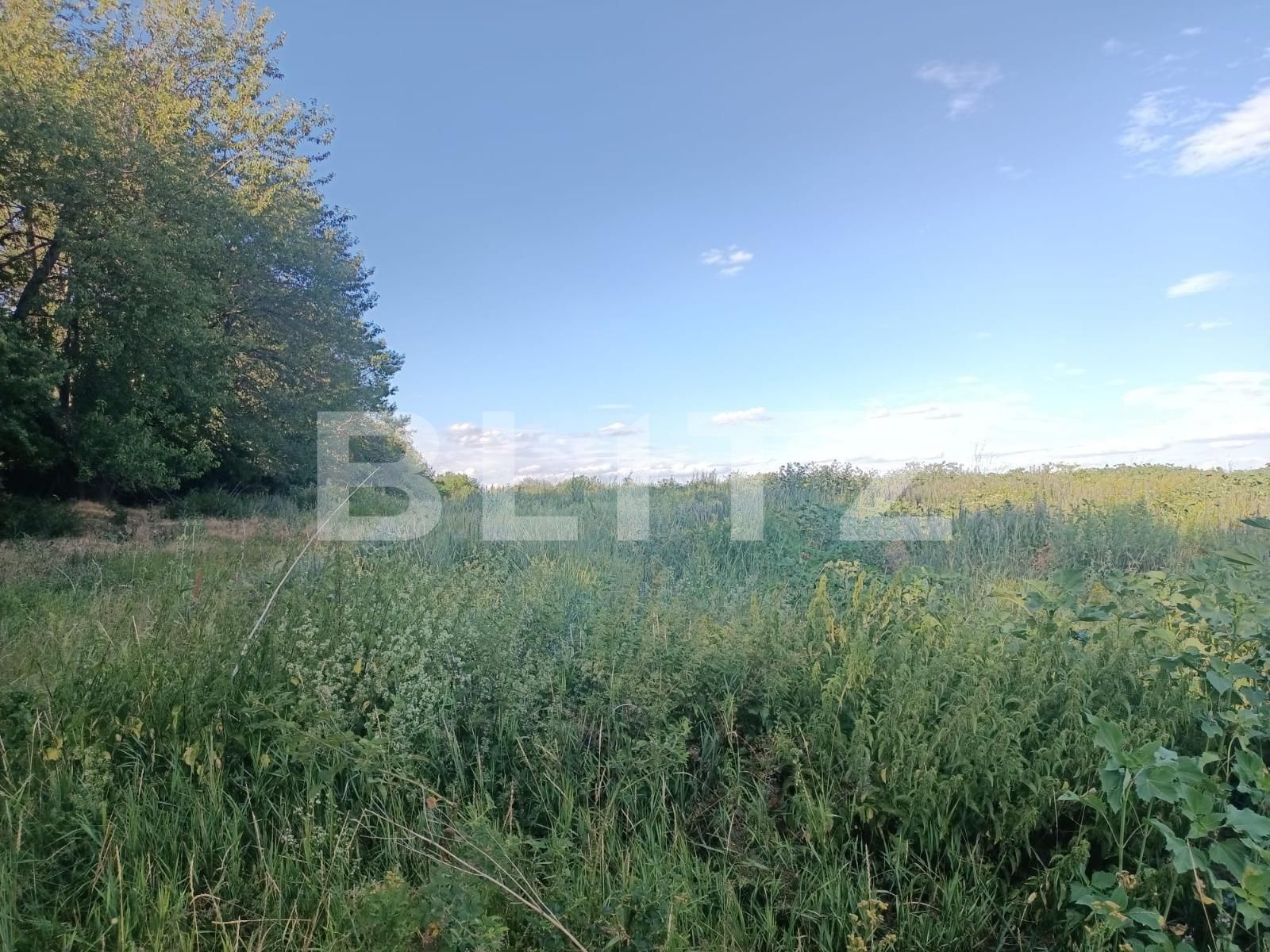 Teren extravilan 5400 mp langa padurea Dobrovat, jud. Iasi | Poza5