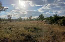 Teren extravilan, 2900 mp, in Dobrovat