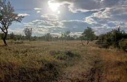 Teren extravilan, 2900 mp, in Dobrovat