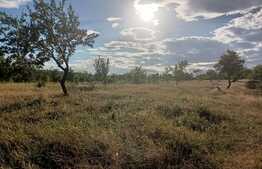 Teren extravilan, 2900 mp, in Dobrovat