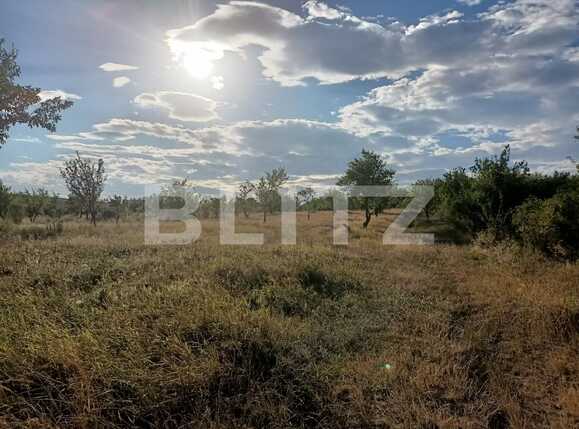 Teren extravilan 2900 mp, Dobrovat, jud. Iasi | Poza2